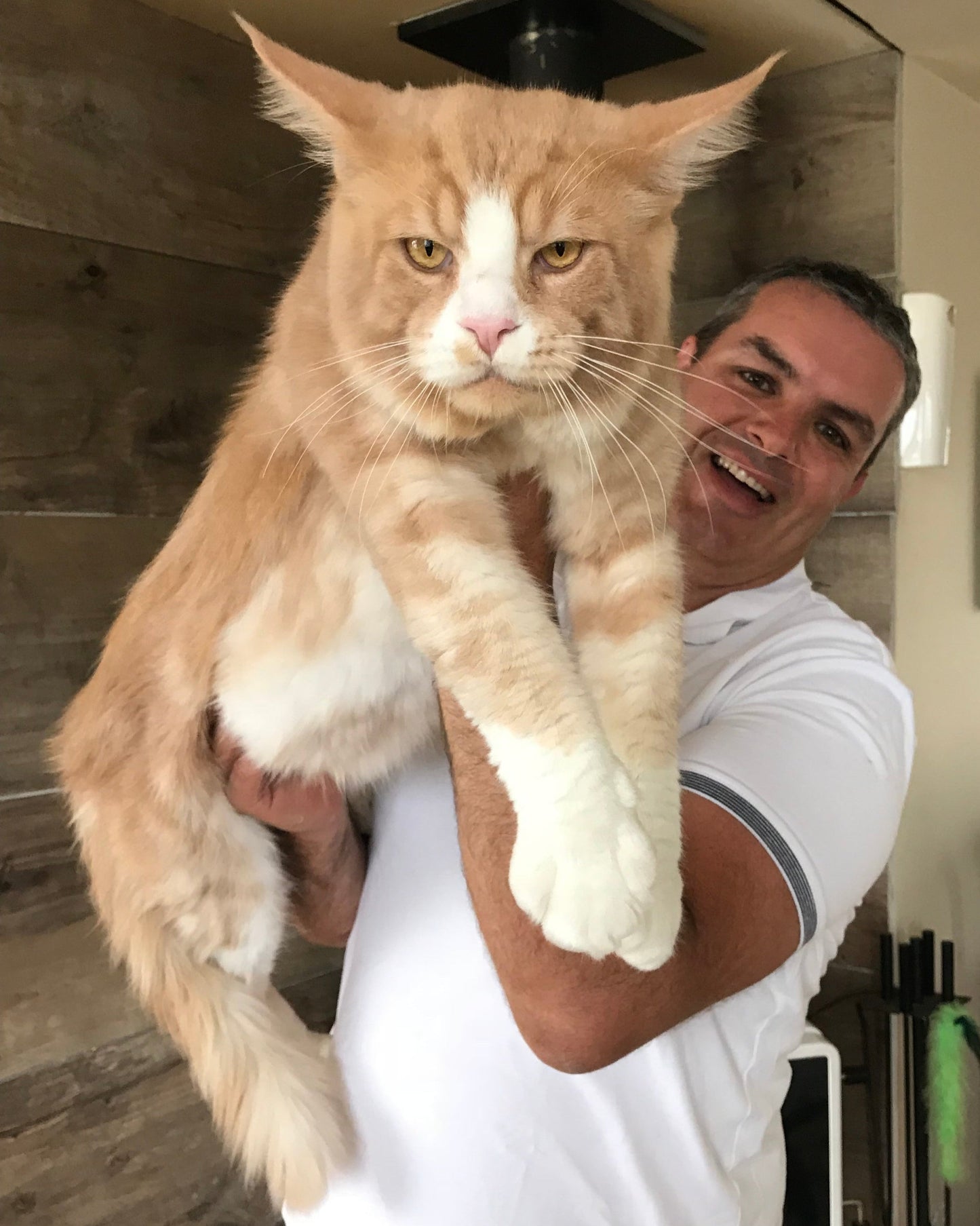 Julian holding a large maine coon