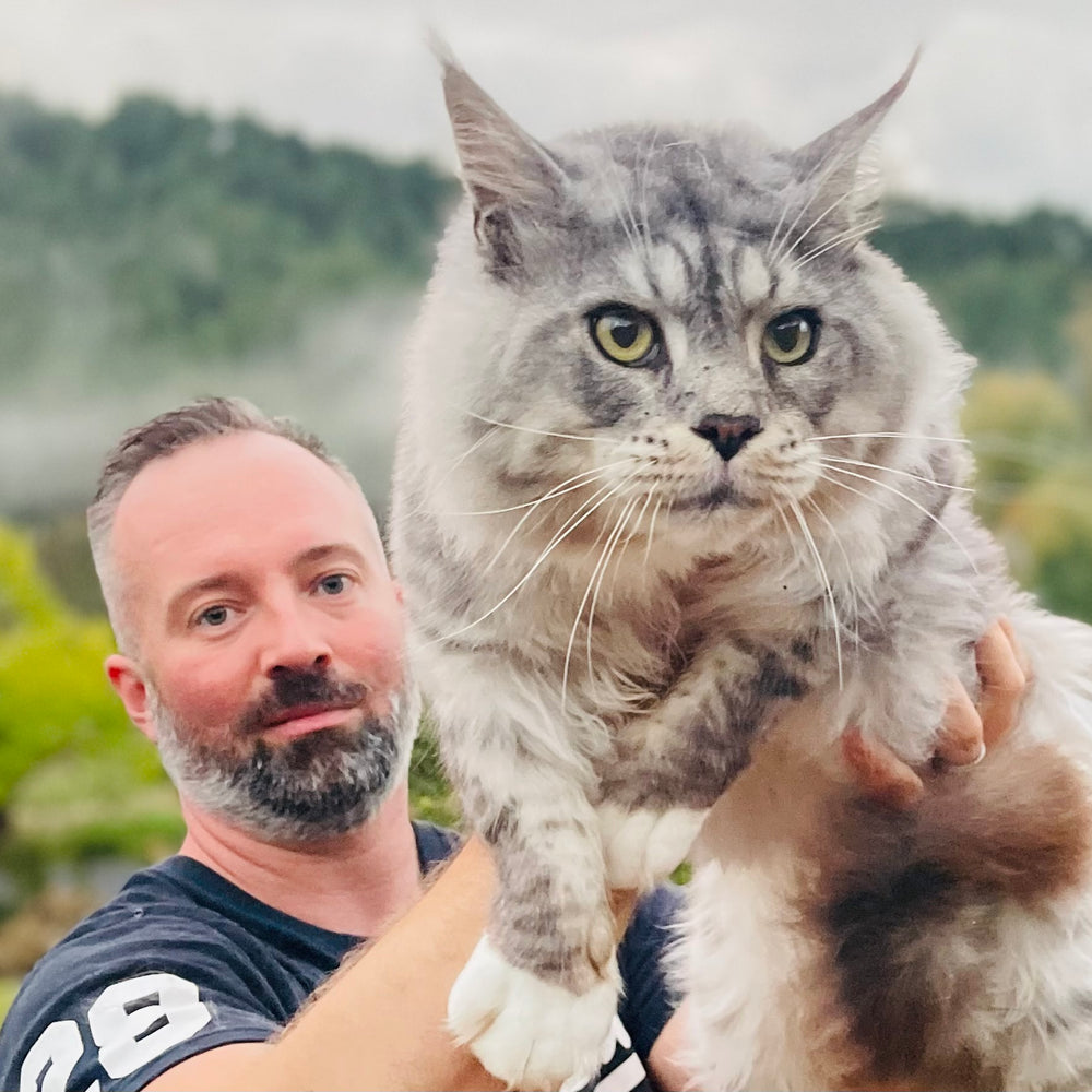 Petr holding our breeding stud maine coon