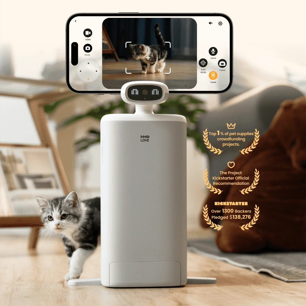 
                  
                    Cat Feeder & Sitter
                  
                