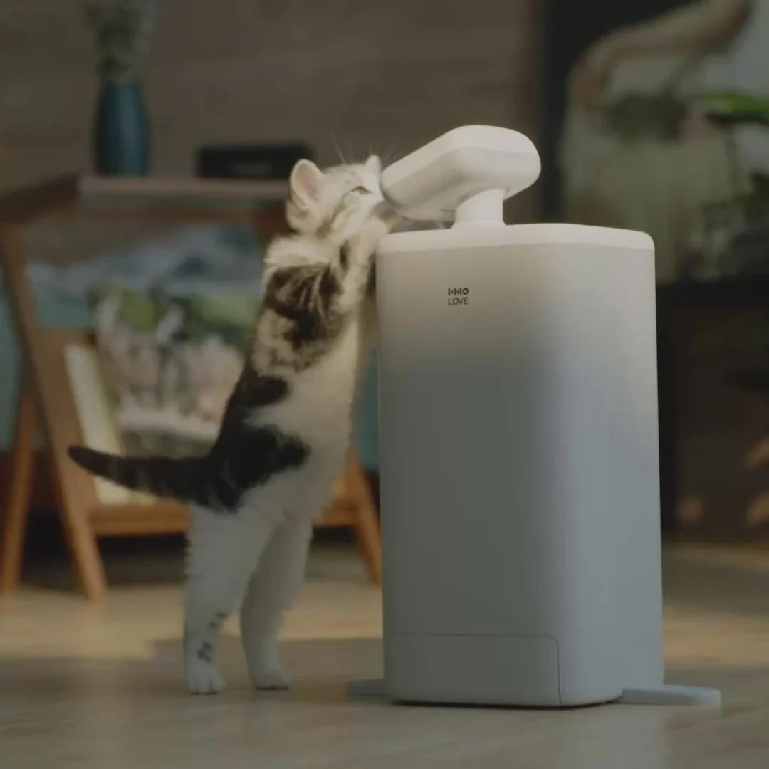 Cat Feeder & Sitter